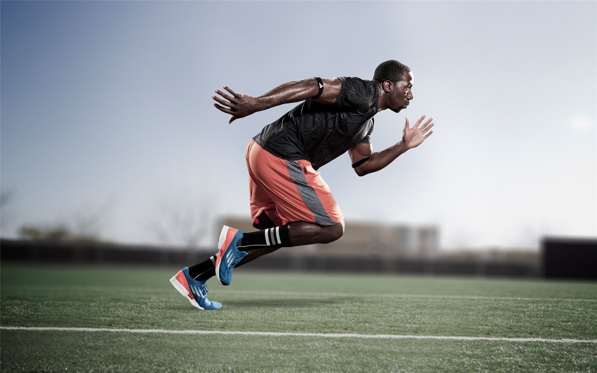 澳大利亚橄榄球事业迎来政策红利期，澳大利亚橄榄球联盟